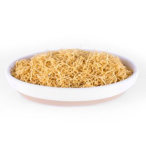 Jini Mori Sev